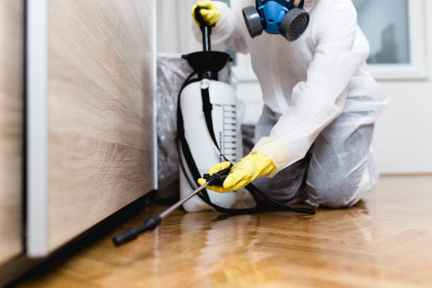Best Commercial Pest Control Services  in Wallis, TX