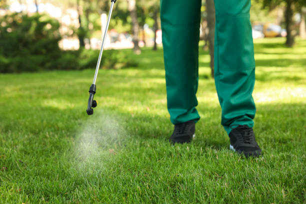 Pest Prevention Services in Wallis, TX