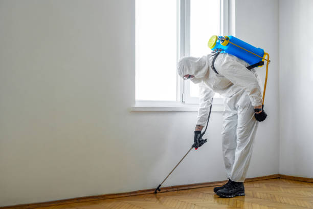 Pest Prevention Services in Wallis, TX