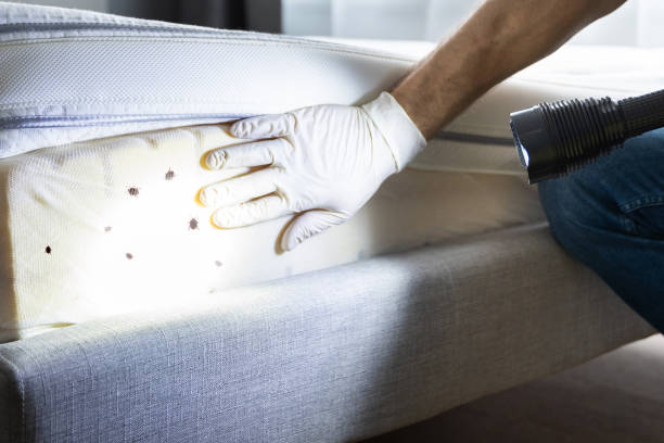 Pest Control Cost in Wallis, TX
