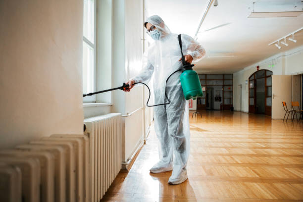Best Pest Prevention Services  in Wallis, TX