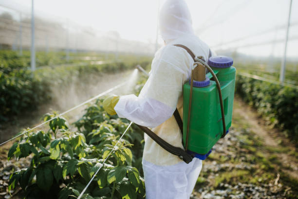Flea Control Services in Wallis, TX